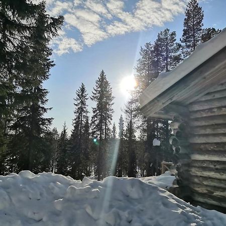 Mantytupa Lodge Syöte Esterno foto